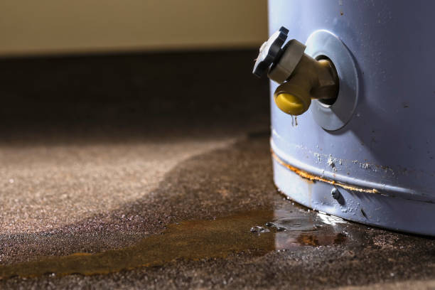 Best Water damage contractors near me  in Coral Gables, FL