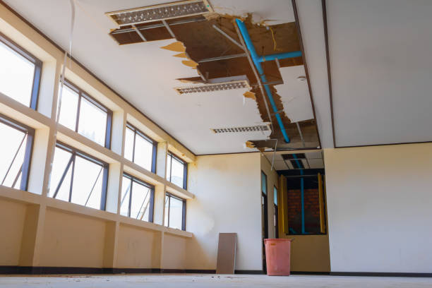 Best Flood restoration services  in Coral Gables, FL