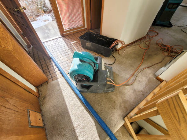 Best 24-hour water damage restoration  in Coral Gables, FL
