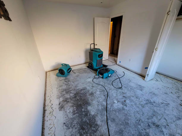 Best Water damage restoration near me  in Coral Gables, FL