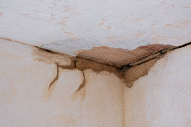 Best Water damage cleanup near me  in Coral Gables, FL