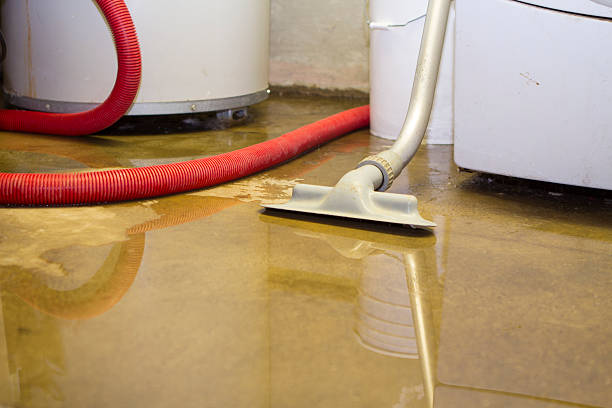 Best Sewage cleanup and water damage restoration  in Coral Gables, FL