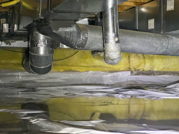 Best Carpet water damage restoration  in Coral Gables, FL