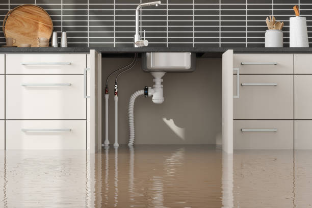 Best Sewage cleanup and water damage restoration  in Coral Gables, FL