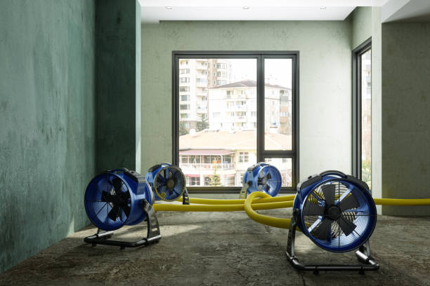 Best Water damage restoration process  in Coral Gables, FL